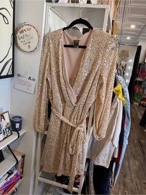 Taylor Blush Sequin Accent Dress